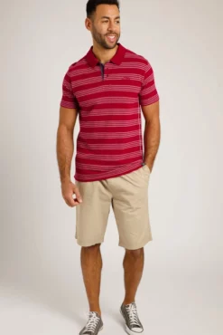 Rothko Stripe Polo Shirt Garnet
